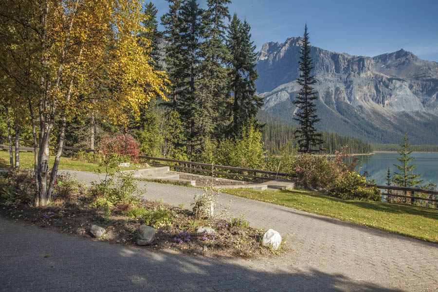 View from the Lodge Area_1